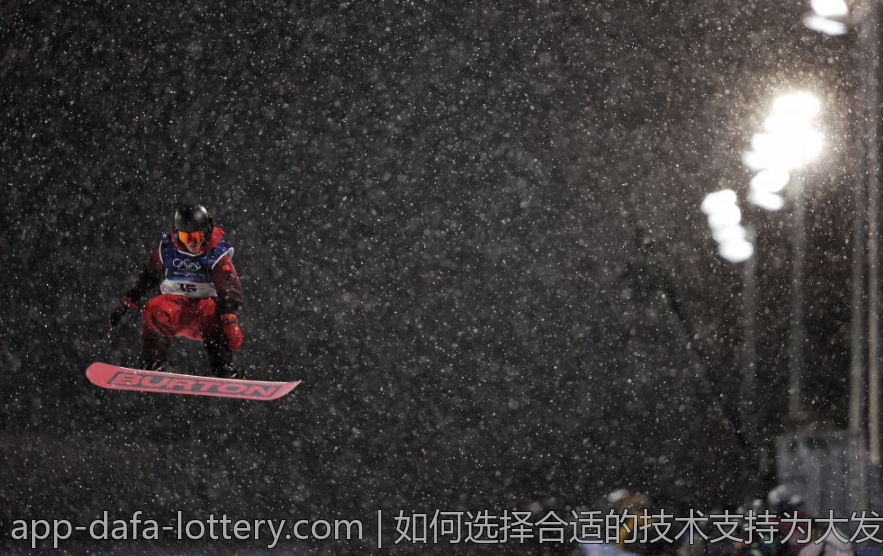 如何选择合适的技术支持为大发彩票体育助力